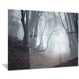 mysterious fairytale foggy wood landscape photo canvas print PT8486