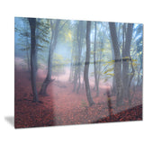 mysterious fairytale green wood landscape photo canvas print PT8487