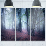 mysterious fairytale wood landscape photo canvas print PT8490