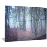 mysterious fairytale wood landscape photo canvas print PT8490