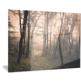 dark old spring forest landscape photo canvas print PT8491