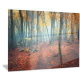 red and yellow autumn forest landscape photo canvas print PT8619