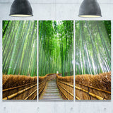 path to bamboo forest landscape photo canvas print PT8622