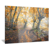 dark yellow old forest in fog landscape photo canvas print PT8624