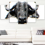 Stare of the Bull- Animal Canvas Print PT2309