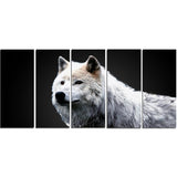 Wonder of the Wolf- Animal Canvas Print PT2329