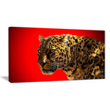Spotted You - Animal Canvas Print PT2332