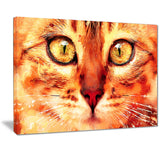 Feline Stare- Animal Canvas Print PT2334