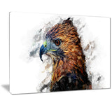 Hawk Eye- Animal Canvas Print PT2337