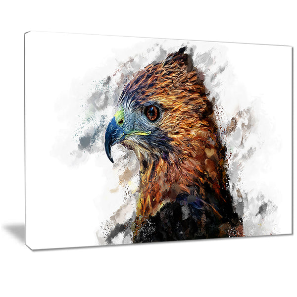 Hawk Eye- Animal Canvas Print PT2337