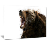 Beware of the Bear- Animal Canvas Print PT2341