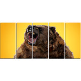 Fierce Grizzly - Animal Canvas Print PT2346