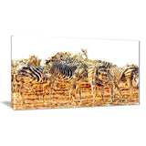 Zebra Herd- Animal Canvas Print PT2365