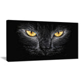 Black Cat Eyes - Canvas Art PT2431