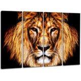 Hear Him Roar - Lion PT2437
