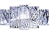 White Tiger White Forest - PT2451