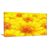 Yellow Thicket - Floral Canvas Artwork