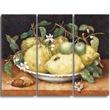 MasterPiece Painting - Giovanna Garzoni Still Ife with Bowl of Citrons