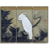 MasterPiece Painting - Ito Jakuchu White Cockatoo on a Pine Branch