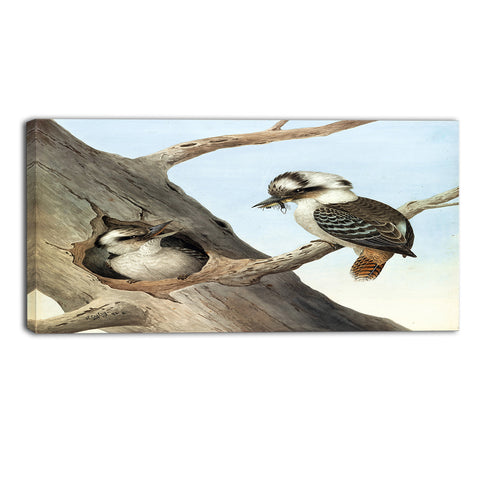 MasterPiece Painting - Neville HP Cayley Laughing Kookaburra