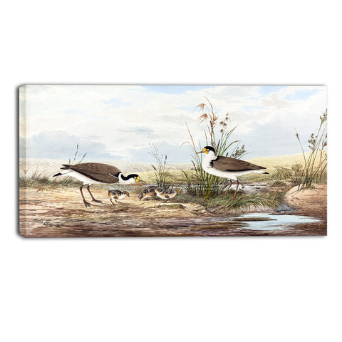 MasterPiece Painting - Neville HP Cayley Masked Lapwing