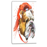 bulldog illustration art animal canvas artwork PT6062