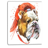 bulldog illustration art animal canvas artwork PT6062