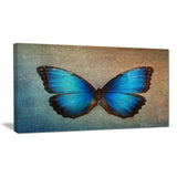 blue vintage butterfly floral canvas art print PT6282