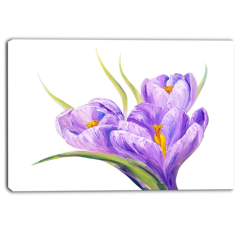 crocuses in white background floral canvas print PT6288