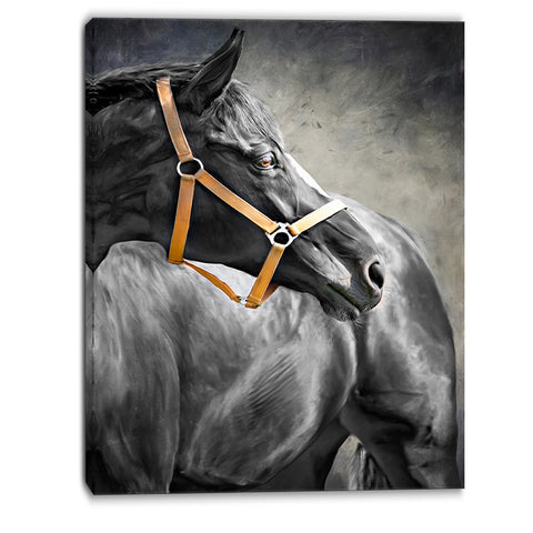 black horse animal canvas art print PT6379