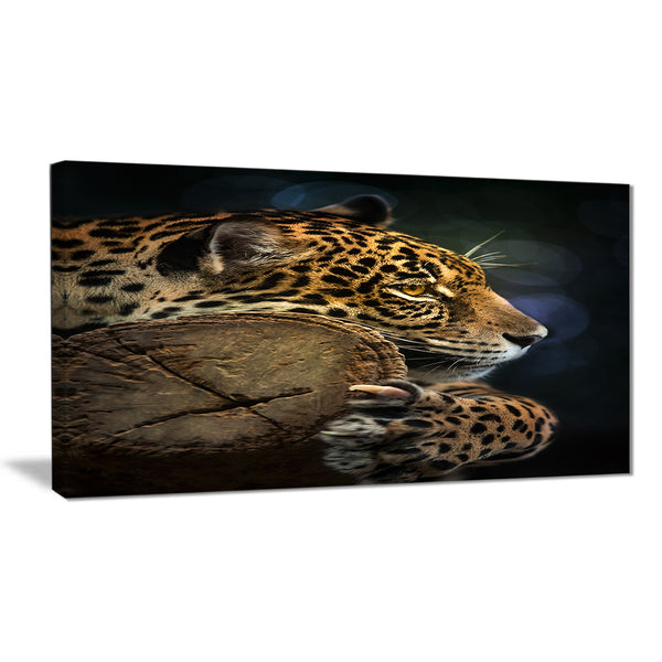 Relaxing Jaguar Animal Photography Canvas Print