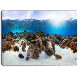 indonesia underwater panorama photography canvas art print PT6443