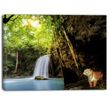 Tiger Watching Waterfall Landscape Photography Canvas Print