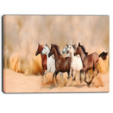 herd gallops in sand storm landscape photography canvas print PT6468