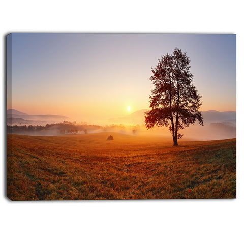 lonely tree at sunset landscape photography canvas print PT6485