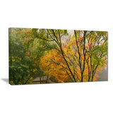 canopy of maple trees in fall floral photo canvas print PT6487