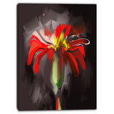 abstract red flower floral art print on canvas PT6671