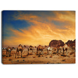 camels in wadi rum photography canvas art print PT6727