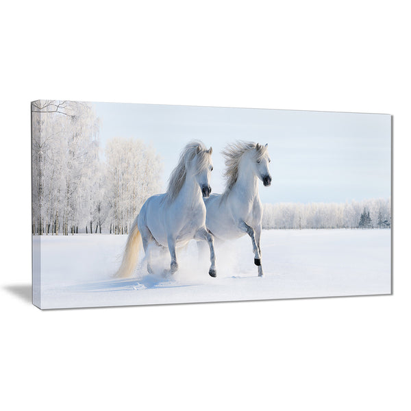 two galloping white ponies animal photo canvas print PT6771