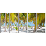 palm trees landscape photography canvas art print PT6777