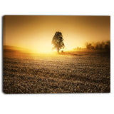 farmland panorama landscape photography canvas art print PT6792