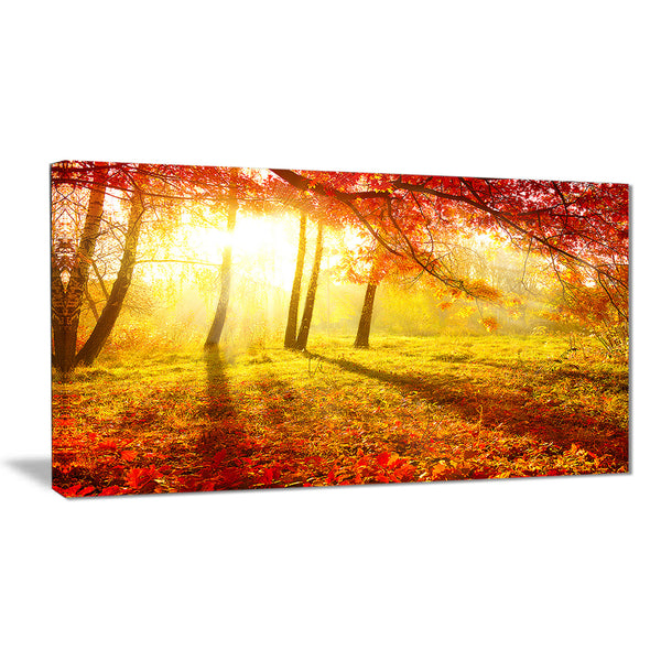 autumnal park landscape photography canvas art print PT6798