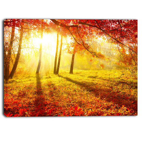 autumnal park landscape photography canvas art print PT6798