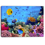 coral colony and coral fishes seascape photo canvas print PT6825