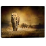 elephants at sunset animal contemporary canvas art print PT6833