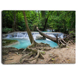 tropical forest scenery photo canvas print on canvas PT6873