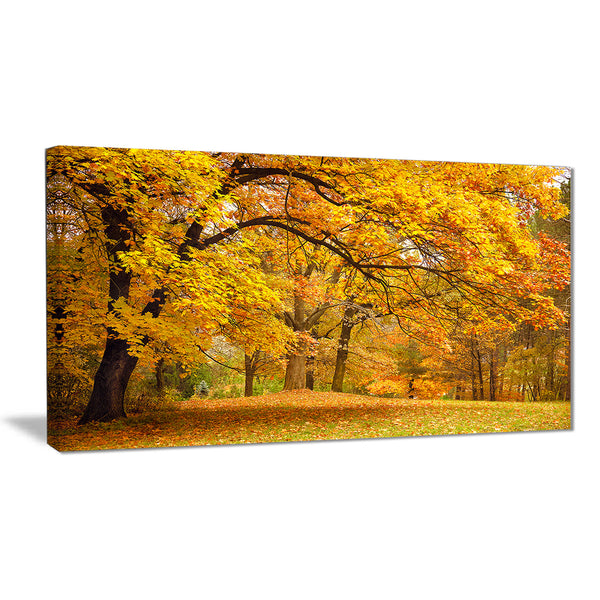 golden autumn forest landscape photo canvas print PT6883