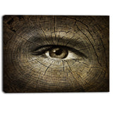 aging eyes abstract canvas art print PT6963