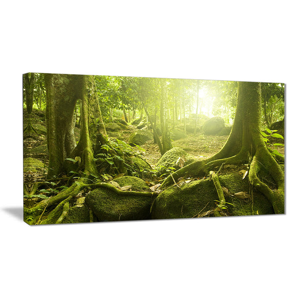 green forest with sun landscape photo canvas print PT6998