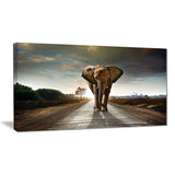 single walking elephant photography canvas print PT6999